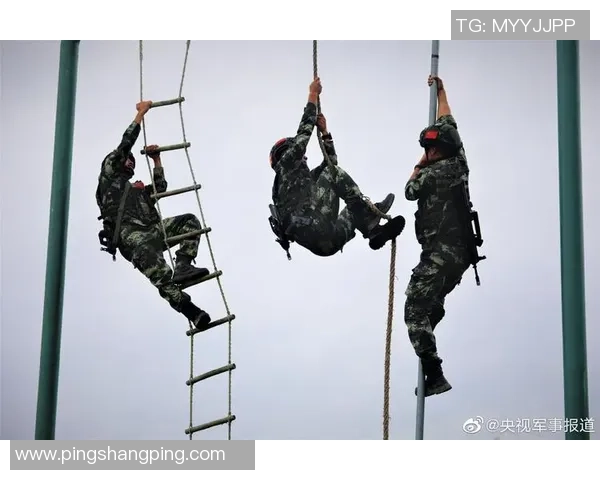 杭州攀岩队战术解析：如何在比赛中发挥团队优势与个人技术