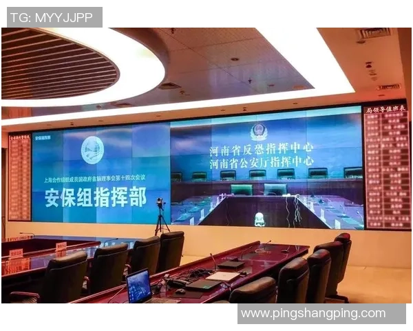 武汉羽毛球队的崛起之路揭秘与训练背后的力量与激情